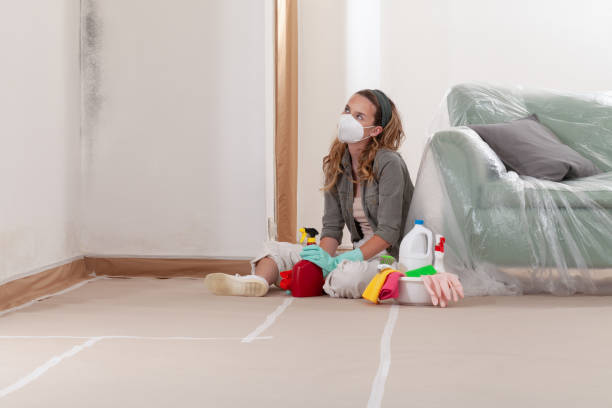 Reliable Mold Cleanup contractor in Ottsville, PA by WQB Mold Removal
